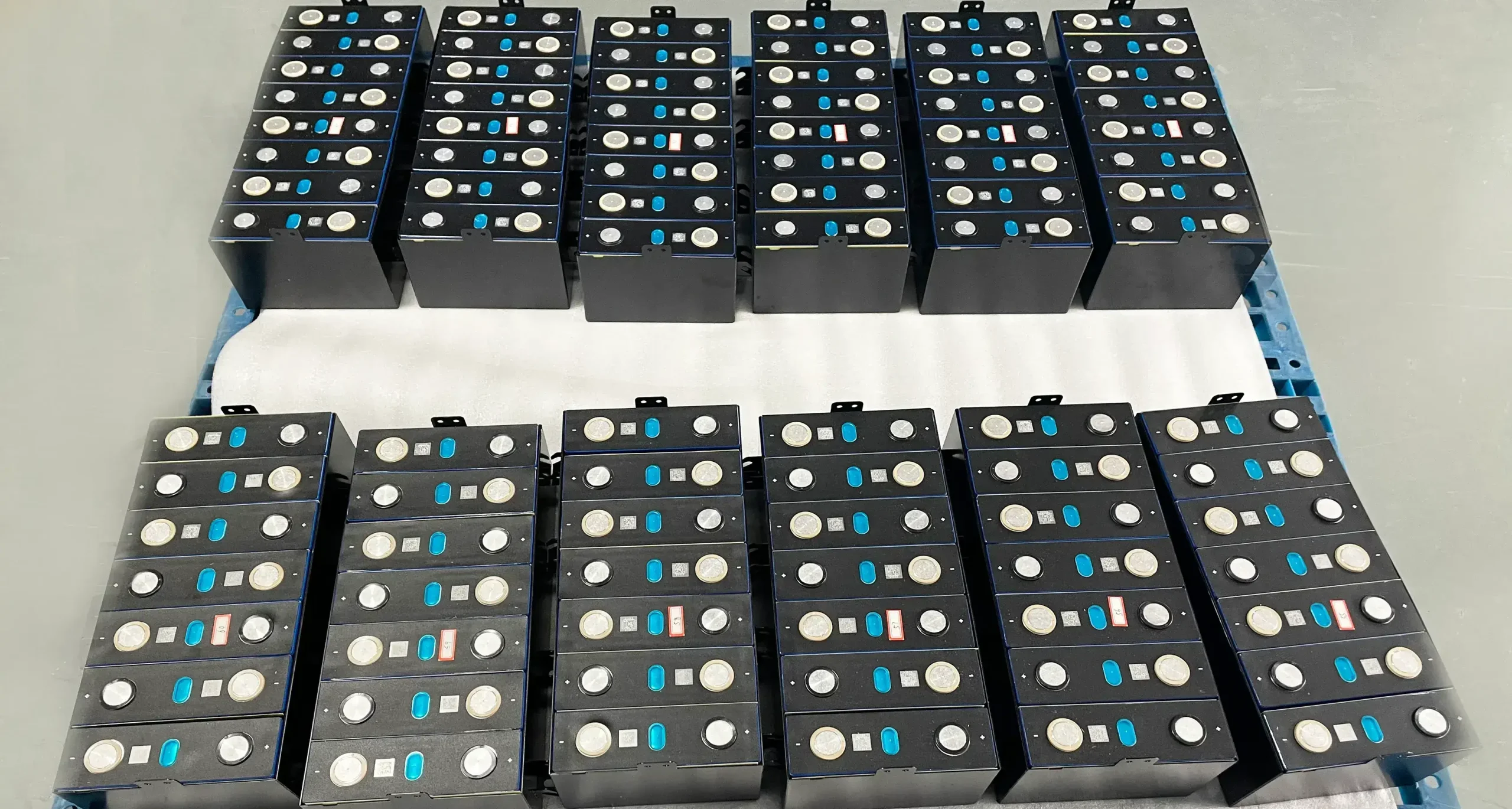 Batterlution PowerGo 2.5kWh 51.2V LiFePO4 battery cell